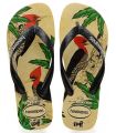 Shop Sandals/Man Chancets Man Havaianas Ipe Beige