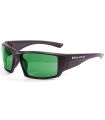 Sunglasses Sport Blueball Monaco Matte Black / Revo Green