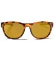 Gafas de Sol Casual Ocean Goldcoast Brown