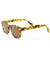 Gafas de Sol Casual Ocean Hampton Brown