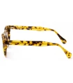 Gafas de Sol Casual Ocean Hampton Brown