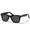 Gafas de Sol Casual Ocean Walker Shiny Black Smoke