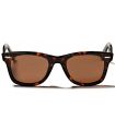 Ocean Walker Brown - Sunglasses Casual