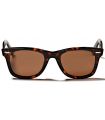 Sunglasses Casual Ocean Walker Brown