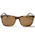 Gafas de Sol Casual Ocean Burton Stripe Brown