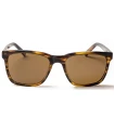 Gafas de Sol Casual Ocean Burton Stripe Brown