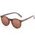 Gafas de Sol Casual Ocean Lizard Brown