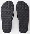 Tienda Sandalias / Chancletas Hombre Rip Curl Ripper Azul