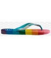 Tienda Sandalias / Chancletas Hombre Havaianas Top Pride Allover