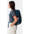 Mochilas Urbanas The North Face Borealis Classic Azul