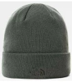 Gorros - Guantes The North Face Gorro Norm Verde