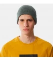 Gorros - Guantes The North Face Gorro Norm Verde