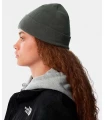 Gorros - Guantes The North Face Gorro Norm Verde