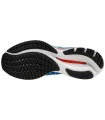 Mizuno Wave Rider 26