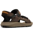 Tienda Sandalias / Chancletas Hombre Columbia Trailstorm Hiker