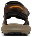 Tienda Sandalias / Chancletas Hombre Columbia Trailstorm Hiker