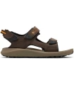 Tienda Sandalias / Chancletas Hombre Columbia Trailstorm Hiker