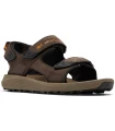 Tienda Sandalias / Chancletas Hombre Columbia Trailstorm Hiker
