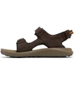 Tienda Sandalias / Chancletas Hombre Columbia Trailstorm Hiker
