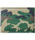 Carteras Rip Curl Cartera Pu Slim Combo Camo