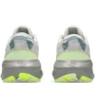 Chaussures de formation de la femme de Trail Running Asics Gel
