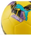 Ballon de football Puma Balon Futbol Orbite LaLigue 1 Hyb