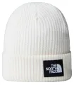Gorros The North Face The North Face Gorro Salty Lined