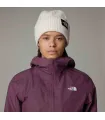 Gorros The North Face The North Face Gorro Salty Lined