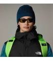 Gorros-Gants The North Face Gorro Reversible Highline Petrol