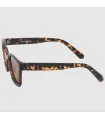 Gafas de Sol Lifestyle Jack Jones Gafas de Sol Jacpontus Noos