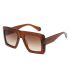 Gafas de sol polarizadas Ocean Corniche Brown con lentes degradadas marrones para deporte y estilo casual.